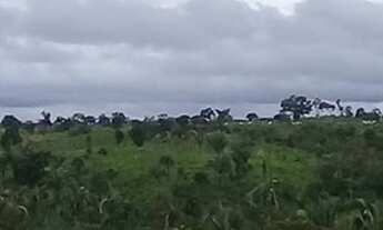 Imagem 5: FAZENDA À VENDA EM RECURSOLÂNDIA - TO - DE 700 ALQUEIRÕES (DUPLA APTIDÃO
