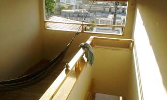 Imagem 4: Alugo em Cabedelo (atenção: Trás do Magazine Luiza