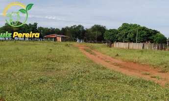 Imagem 3: FAZENDA À VENDA EM SANTA RITA DO PARDO-MS- 1.977 HEC (DUPLA APTIDÃO