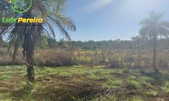 Imagem 3: FAZENDA À VENDA NO VALE DO ARAGUAIA - TO - 711,48 HECTARES (DUPLA APTIDÃO