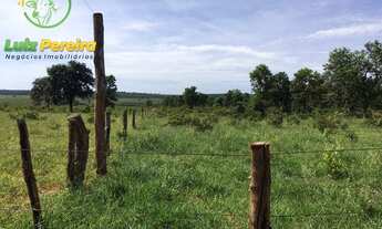 Imagem 4: FAZENDA À VENDA EM SANTA RITA DO PARDO-MS- 1.977 HEC (DUPLA APTIDÃO