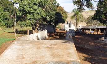 Imagem 3: Chácara 4 alqueires