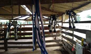 Imagem 2: Fazenda com 4 dormitórios à venda, 726000 m² por R$ 4.500.000,00 - Buriti Grande - Luziâni