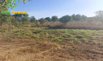 Imagem 7: FAZENDA À VENDA NO VALE DO ARAGUAIA - TO - 711,48 HECTARES (DUPLA APTIDÃO