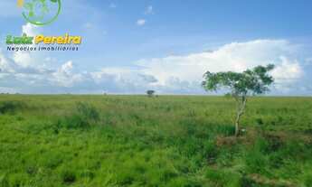 Imagem 2: FAZENDA À VENDA EM PALMEIRANTE - TO - 855 HECTARES (DUPLA APTIDÃO