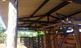 Imagem 10: FAZENDA A VENDA EM FORMOSO DO ARAGUAIA -TO - 1694 HEC (DUPLA APTIDÃO