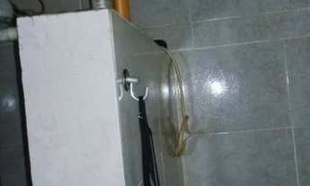 Imagem 4: Duas casas tipo apartamento sala 1 quarto