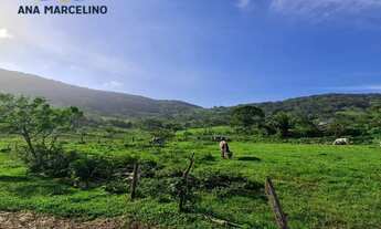Imagem 2: TERRENO COMERCIAL em GAROPABA - SC, Ambrósio