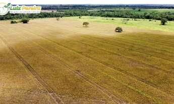 Imagem 4: FAZENDA À VENDA EM DOIS IRMÃOS - TO - 427 HECTARES (DUPLA APTIDÃO