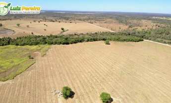 Imagem 3: FAZENDA À VENDA EM DOIS IRMÃOS - TO - 427 HECTARES (DUPLA APTIDÃO