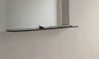 Imagem 3: Apartamento com 2 dormitórios para alugar em Betim