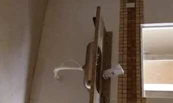 Imagem 6: VENDO casa tipo AP, Jardim Califórnia SG