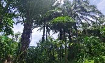 Imagem 6: Terreno à venda, 750 m² pertinho da praia e centro do Arraial Dajuda, Bahia