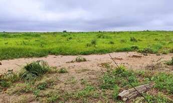 Imagem 4: Fazenda 29.000 hectares a venda no Maranhão