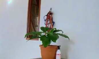 Imagem: Casa 3 quartos com suíte em Barcelona