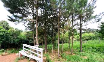 Imagem 2: Fazenda/Sítio/Chácara para venda com 5000 metros quadrados em Morungava - Gravataí - RS