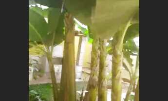 Imagem 4: VENDO OU TROCO CASA COM 4 QUARTOS NA CIDADE OSFAYA LUZIANIA GO