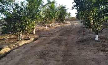 Imagem 7: Sítio lindo a venda