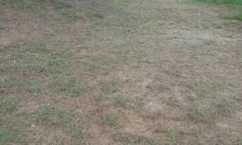 Imagem 6: Chácara Chácara com venda por R$220.000