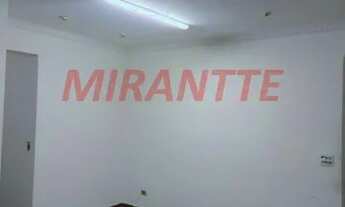 Imagem 3: Apartamento de 80m² com 3 quartos em Vila Guilherme