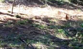 Imagem 3: Terreno a venda em Atibaia no bairro San Fernando Valley com 971m²