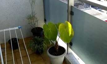 Imagem 4: São Paulo - Apartamento Padrão - Tatuapé