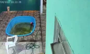 Imagem 7: Casa à venda Casa com 2 dormitórios