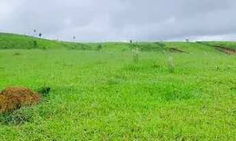 Imagem 5: Vende-se terrenos bairro tanque Atibaia