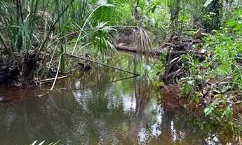 Imagem 6: Propriedade rural em Alcântara/MA