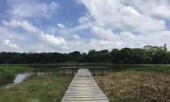 Imagem 4: Sítio/Chácara Iguape SP baixou !!! Alto padrão