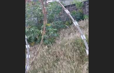 Imagem 2: Ótima casa,construção sólida