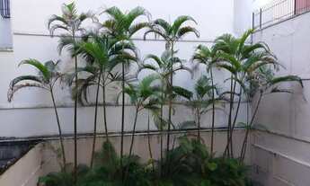 Imagem: Raridade em Ipanema na melhor localização