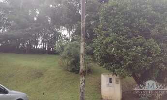 Imagem 5: FLORIANóPOLIS - Apartamento Padrão - Pantanal