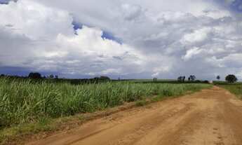 Imagem 3: Fazenda de 47 Alqueires Paulista Região Monte Santo de Minas - MG
