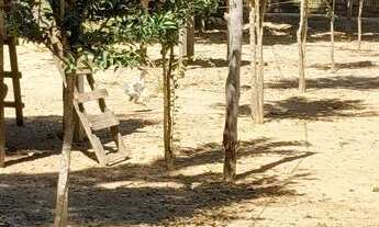 Imagem 7: Vendo esta chácara lei a descrição