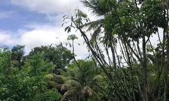 Imagem 7: Excelente sítio com 15.400 metros quadrados completamente equipado e com piscina