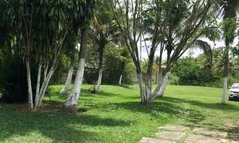 Imagem 3: Excelente sítio com 15.400 metros quadrados completamente equipado e com piscina