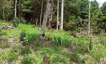 Imagem 7: Chácara à Venda no Bairro Campos Serrano São Bento do Sapucaí
