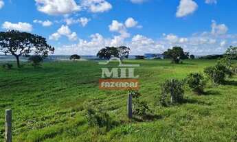 Imagem 2: Fazenda 414 alqueires (2.007 hectares) Caiapônia - Go