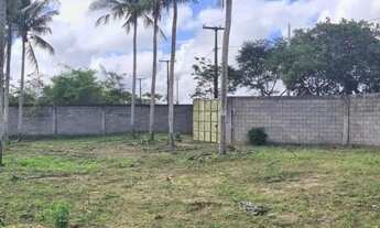 Imagem 7: Terreno na estrada da Terra dura Limoeiro 71.000m2