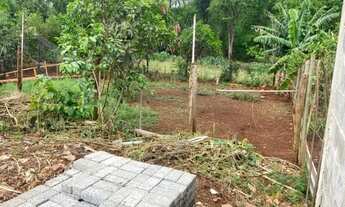 Imagem 7: Terreno 11,5X43 4km de Cravinhos