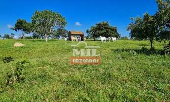 Imagem 16: Fazenda 414 alqueires (2.007 hectares) Caiapônia - Go