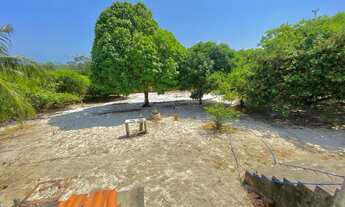 Imagem 5: Vendo Sítio no Novo Iguape - Excelente Oportunidade!