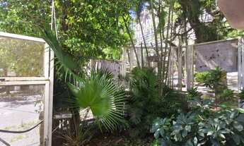 Imagem 3: CASA NO BAIRRO MOINHOS DE VENTO