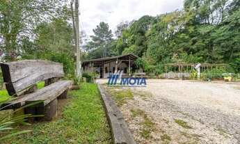 Imagem 7: Chácara a venda 2 casas, casa de caseiro mais barracão para estrebaria e muita area verde