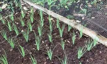 Imagem 4: Terreno à venda, 377 m² por R$ 270.000,00 - Terravista Residence Club - Mirassol/SP