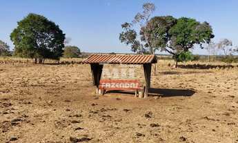 Imagem 4: Fazenda 420 ( 2.032,80 hectares ) Porangatu - GO