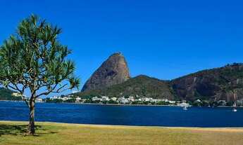 Imagem 7: Apartamento no Flamengo