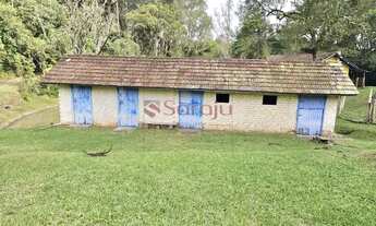 Imagem 7: Saraju Vende Terreno em chacara em São José Dos pinhais