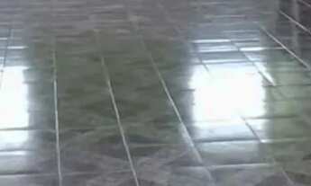 Imagem 2: Galpão/Depósito para locação